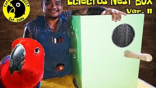 Eclectus Parrot Nest Box