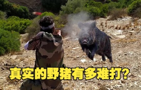 It's really hard to hit a wild boar in real life!