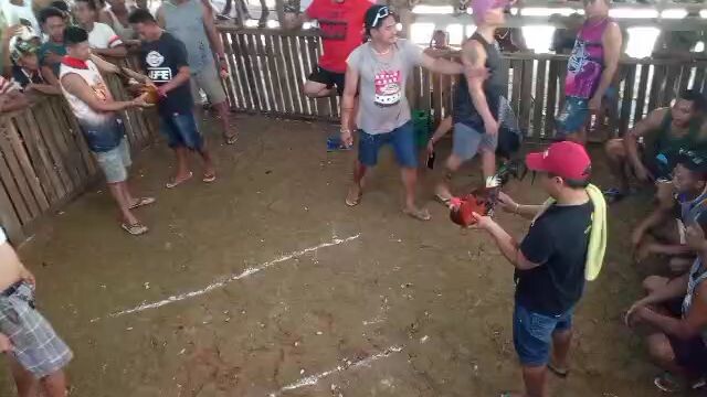 fort fight