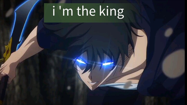 king is here !