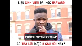 Sinh viên Harvard có trả lời được 5 câu hỏi này part 2 #giaitri