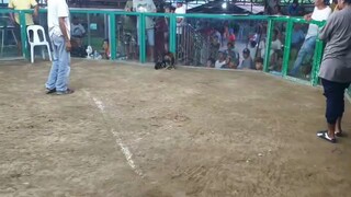 e2 ung mahina sa bitaw pero nagpa takbo Ng kalaban