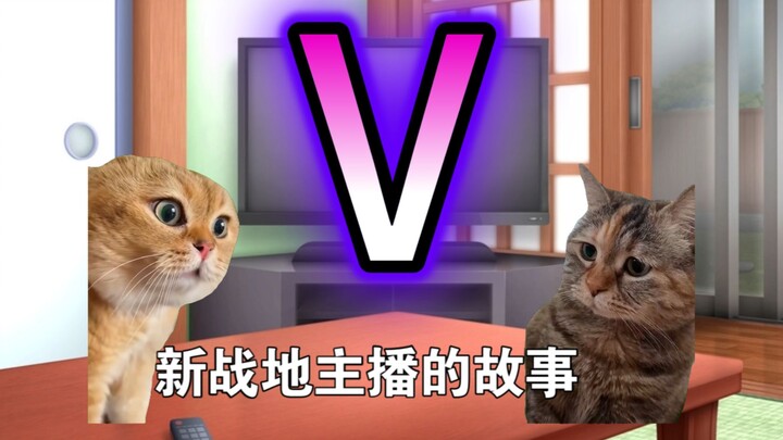 【Meme mèo】Câu chuyện tâm đắc của một streamer Battlefield mới