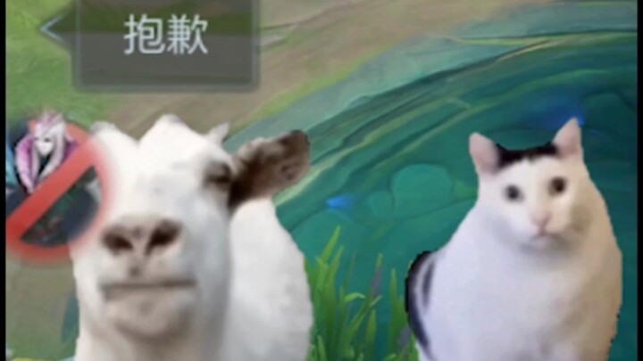 Giờ thì đã hiểu rồi!