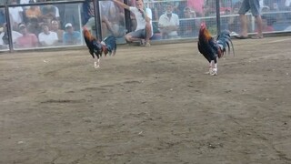 Nov 16 win hackfight limay mega cockpit bataan