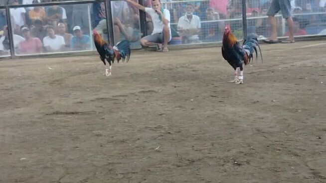 Nov 16 win hackfight limay mega cockpit bataan