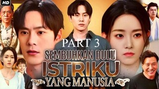 SEMBUHKAN DULU ISTRIKU YANG MANUSIA (PART 3).