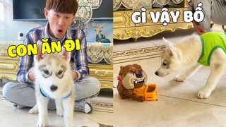 Gâu Đần Family | Khi Bố Bày Trò Troll Đàn Con Của Khai Tâm Thì Sẽ Như Thế Nào 🤣 Gâu Đần Official