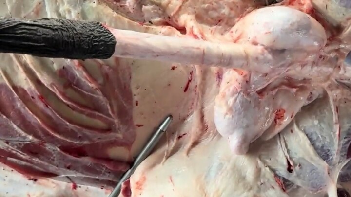 Is this impressive or not? Team Leader Luo is the best person to say!