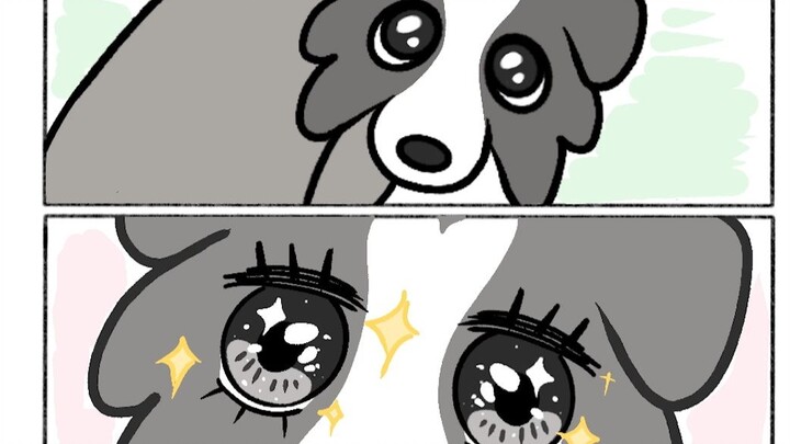 Anjing, tatapannya penuh kasih