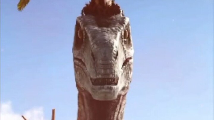 Hello, nice to meet you!