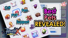 [ROX] BEST Pets for EVERY Class in Ragnarok X Global | King Spade
