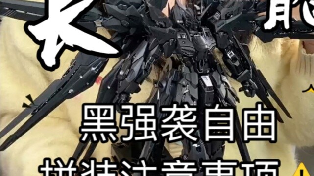 Siapa yang Anda pilih Changlong Hardware? Long Dragon Black Assault Freedom, pengalaman perakitan da