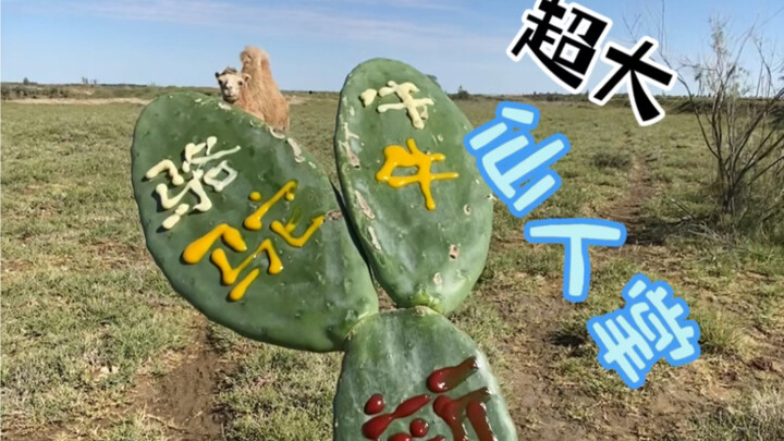 No watermark today—giving my peers a break. Don’t bother creating alt accounts to bash me again. Is 