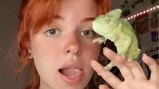 国外小姐姐养了只变色龙：可以梳头发、吸黑头，甚至……