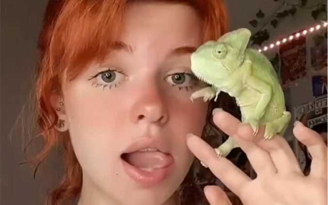 A foreign girl raises a chameleon: it can brush hair, suck out blackheads, and even...