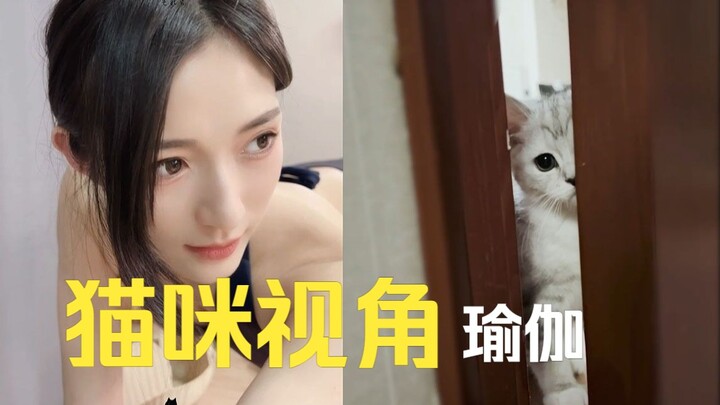 如果我是瑜伽小姐姐的猫