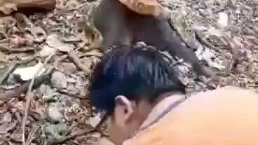 PACOMA, Charles Victor SSciencePerformance task"Volcano"41923