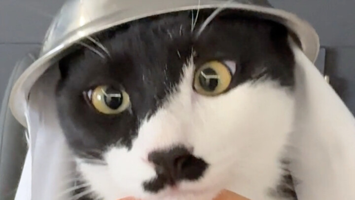 Điên điên khùng khùng đón năm mới đây!