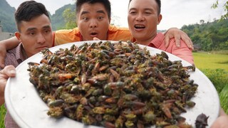 ĐỘC LẠ MÓN GỎI VE SỐNG