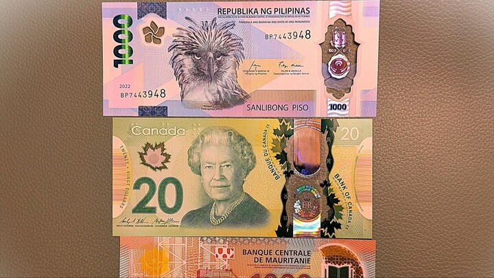 Пополнение банкнот в нашу коллекцию - Полимер - ноябрь 2025 часть 7