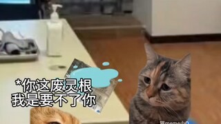 Guru ortopedi: Merebut tuan tanah