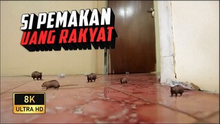 SALAH SATU FILM YANG EFEKNYA BIKIN PUYENG! JEDAG JEDUG BRUTAL!!