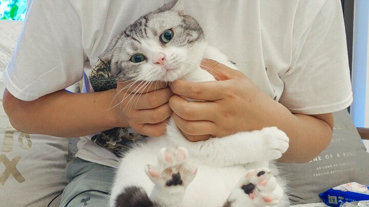 After I gave my cat the deworming medication, this is exactly the look she gave me—she’s probably cu