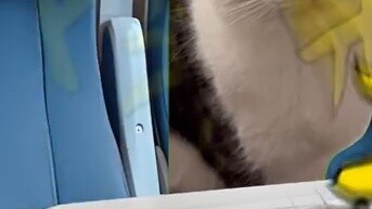 It’s great to ride the high-speed train with the post-00s. You never have to worry about being hungr