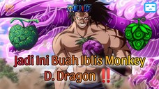 Buah Iblis Monkey D. Dragon !!!