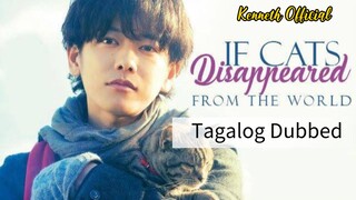 If Cats Disappeared From The World Tagalog Dubbed Full Movie