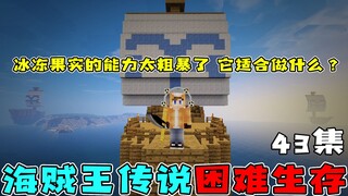 海贼王生存43