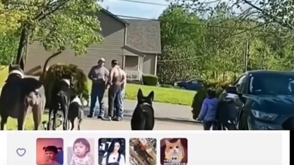 Attention all units: “Dundun Bao” is here!