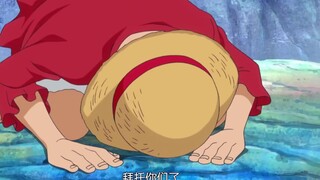 One Piece: Luffy's five best punches to relieve his anger, the four punches teach him how to be a ma