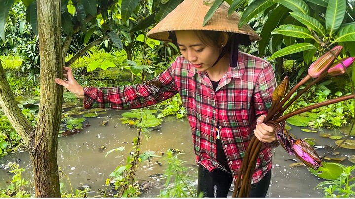 Xúc Ủ Lươn Cá Đồng, Hái Mớ Bông Súng Điên Điển Về Nấu Canh Chua Ấm lòng ngày mưa | NĐMT#330