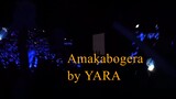 Ppop Star Yara sings AMAKABOGERA during #DunkinPHSB19Concert