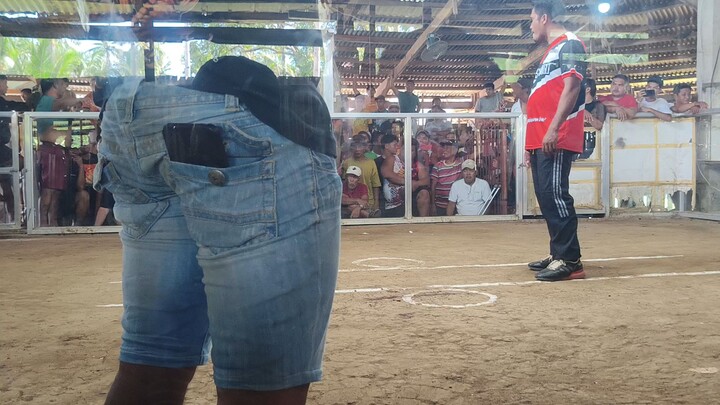 Talalora 2 Cock Derby 2nd Fight