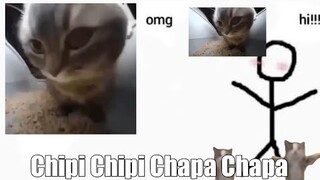 Chipi Chipi Chapa Chapa...