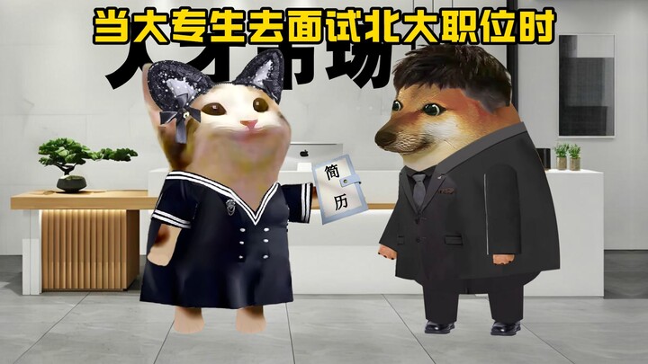 当大专生去面试北大职位时