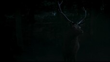 Mammals EP 6 [Sub Việt]