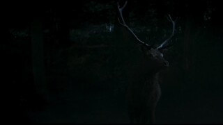 Mammals EP 6 [Sub Việt]