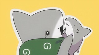 Little Shark Who Loves Outings Episode 47 [Animated Short Film]
