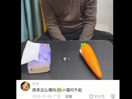 Hóa ra khó đến thế à😭 Xin lỗi mèo con