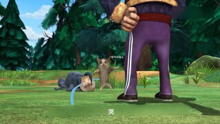 【熊出没】happy猫