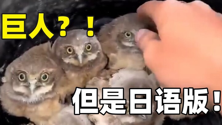 “ยักษ์ประหลาดเพิ่มขึ้นแล้ว”