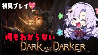 【Dark and Darker】何もわからないお嬢様（一般人）がダンジョンに潜入‼【DADですわ～】