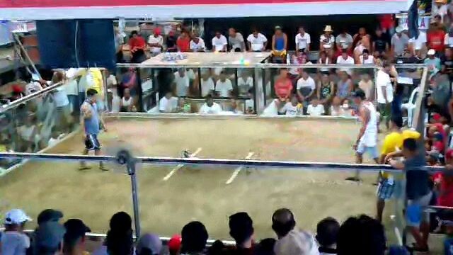 DOUBLE BB champion  po naka chamba