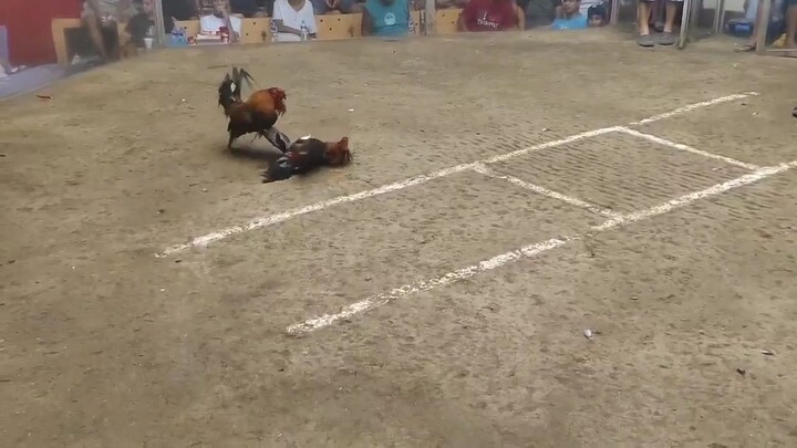 smooth killing by sbr .. superior lng malakas