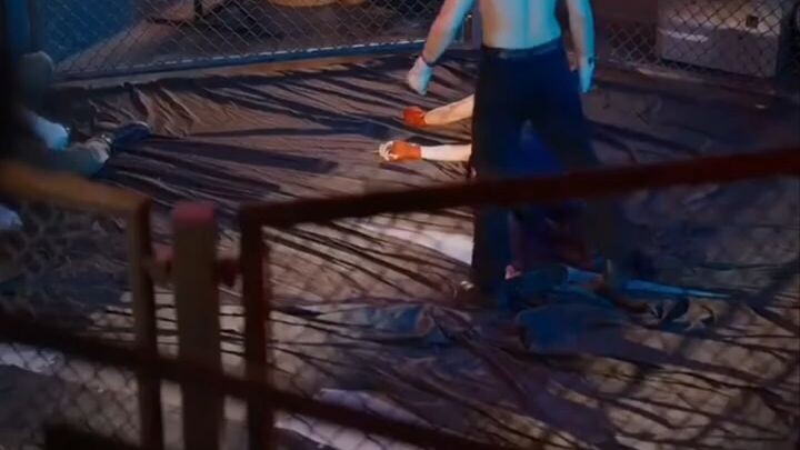 บอดี้การ์ดคลั่งรักของนายหญิง