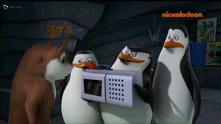 The Penguins of Madagascar - S1 EPS 3 - Haunted Habitat Dub Indo